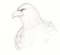 Majestic eagle